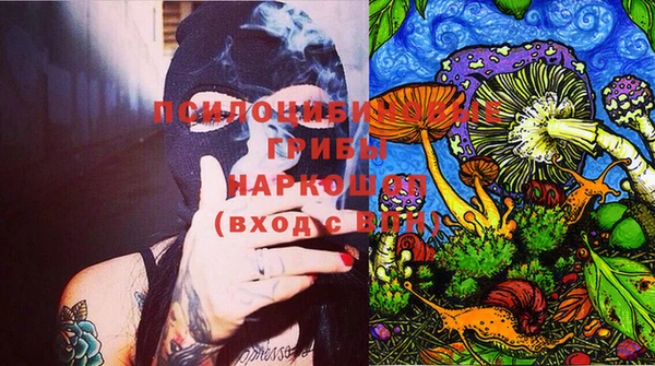 МДМА Няндома