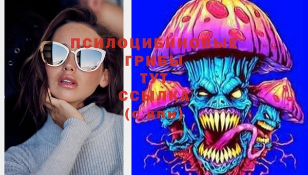 МДМА Няндома