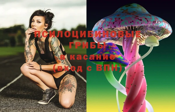 стаф Нягань