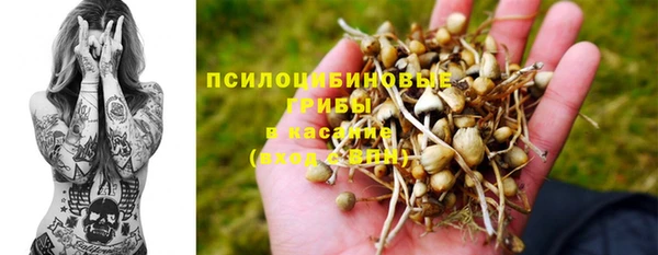 стаф Нягань